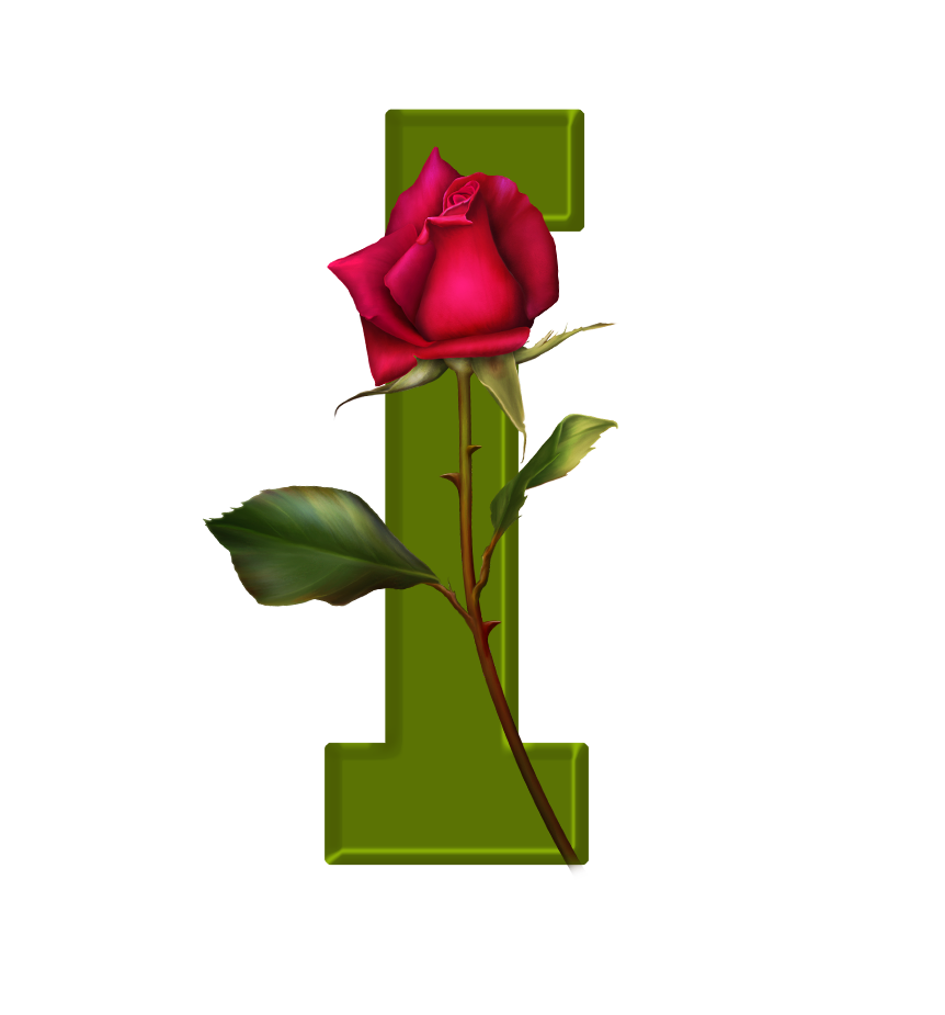 Sussurro De Amor Alfabeto Decorativo Botão De Rosa 647